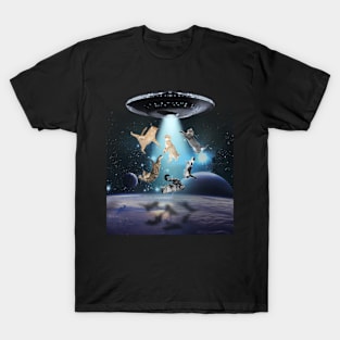 Cat Galaxy Cat Ufo Space Loves Cats Owner T-Shirt